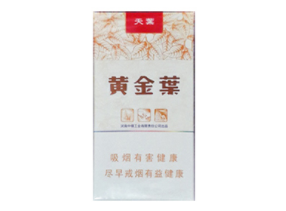 正品沈阳香烟多少钱一条